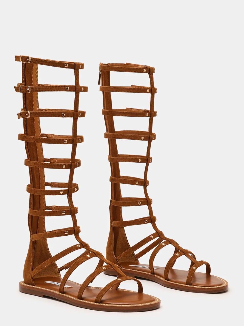 Steve Madden Women's Tall Gladiator chestnut Sandals size 8.5 NEW WITH BOX
